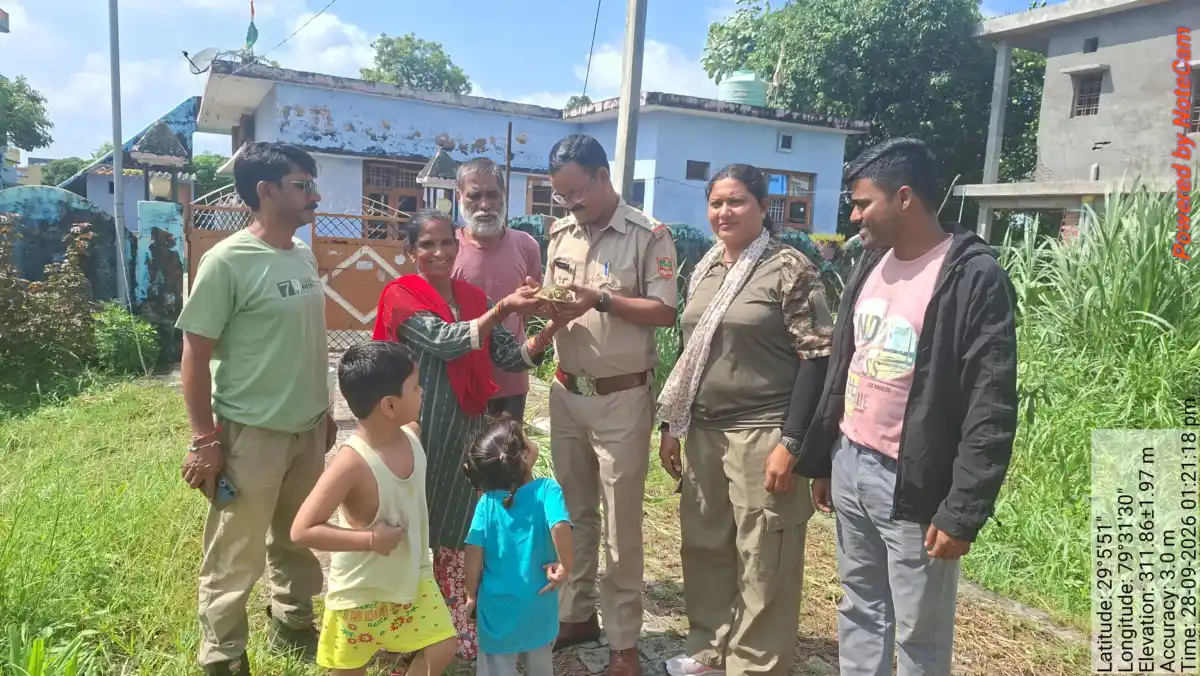 हल्दूचौड़ के दौलिया में सड़क किनारे मिला दुर्लभ कछुआ: